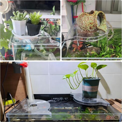 2 PCS Aquarium Corner Shelf مع حامل النبات ، يجلس على حافة الخزان ، مثالية للنباتات المائية ، ديكور خزان الأسماك وملحقاتها ، تناسب معظم الخزانات ، خاصةً مقابل 20 جالونًا أو أكبر (أبيض) in Kuwait