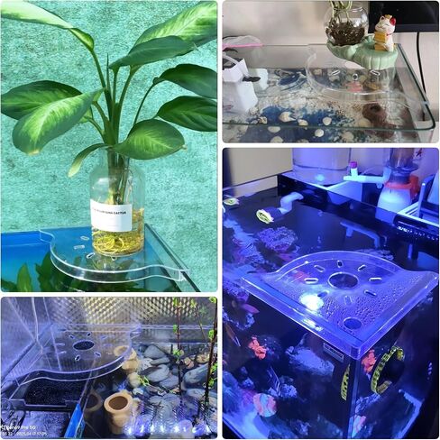 2 PCS Aquarium Corner Shelf مع حامل النبات ، يجلس على حافة الخزان ، مثالية للنباتات المائية ، ديكور خزان الأسماك وملحقاتها ، تناسب معظم الخزانات ، خاصةً مقابل 20 جالونًا أو أكبر (أبيض) in Kuwait