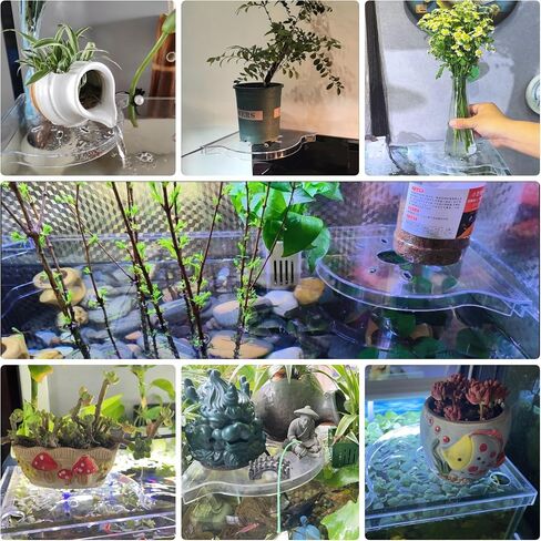 2 PCS Aquarium Corner Shelf مع حامل النبات ، يجلس على حافة الخزان ، مثالية للنباتات المائية ، ديكور خزان الأسماك وملحقاتها ، تناسب معظم الخزانات ، خاصةً مقابل 20 جالونًا أو أكبر (أبيض) in Kuwait