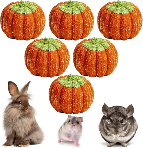fhiny 6 pcs rabbit phem toys ، timother timothy grass grass pig toys for thun bunny molar snacks care care treats for branny guinea pig chinchilla hamster gerbil in Kuwait