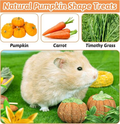 fhiny 6 pcs rabbit phem toys ، timother timothy grass grass pig toys for thun bunny molar snacks care care treats for branny guinea pig chinchilla hamster gerbil in Kuwait