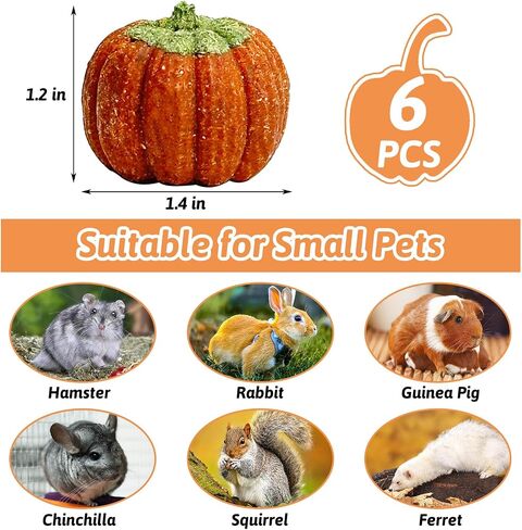 fhiny 6 pcs rabbit phem toys ، timother timothy grass grass pig toys for thun bunny molar snacks care care treats for branny guinea pig chinchilla hamster gerbil in Kuwait