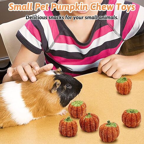 fhiny 6 pcs rabbit phem toys ، timother timothy grass grass pig toys for thun bunny molar snacks care care treats for branny guinea pig chinchilla hamster gerbil in Kuwait