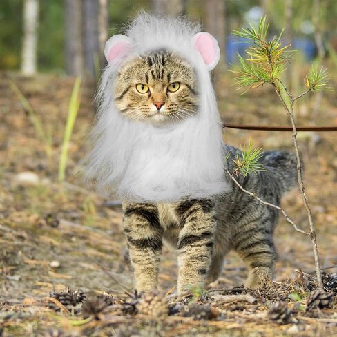 BOXOB Lion Mane Wig for Cat, Lion Mane Hat Soft Animal Wig Hats Washable Comfortable Fancy Costume for Halloween Christmas Easter Birthday Festival Cosplay Party Activity (Size L, White) in Saudi Arabia