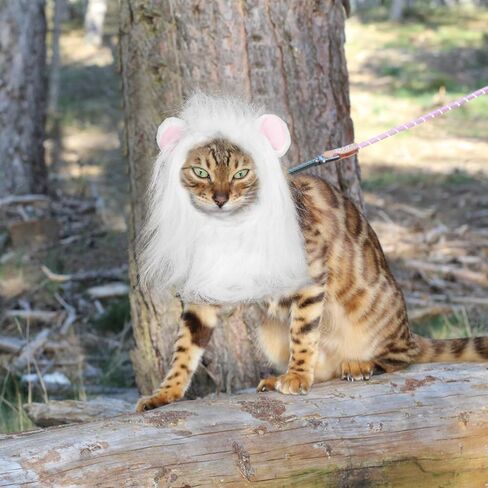 BOXOB Lion Mane Wig for Cat, Lion Mane Hat Soft Animal Wig Hats Washable Comfortable Fancy Costume for Halloween Christmas Easter Birthday Festival Cosplay Party Activity (Size L, White) in Saudi Arabia
