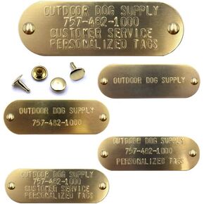 Custom Brass 1" Tag for Dog with Raised Text