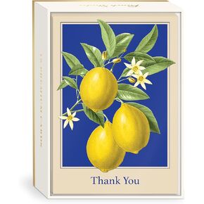 Punch Studio Boxed Notecards Elegant Blank 12-Count Thank You Cards with Embossed Detail, 3.5" x 5", Jacobean