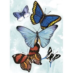 Butterfly Notebook
