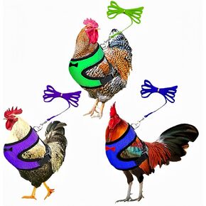 3 Pack Chicken Harness and Leash Set Adjustable Hen Vest with Matching Belt Breathable Mesh Training Harness Pets Leash for Hens Duck Goose Small Pet-Green&Purple&Blue,L