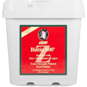 Biotin 800 Z - 6lbs