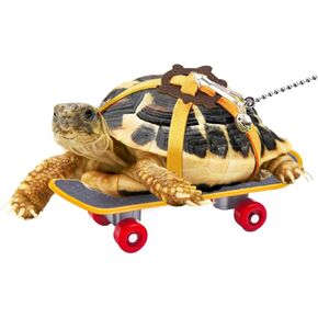 Turtle Skateboard for Real Turtle, Mini Tortoise Skateboard with Adjustable Tortoise Leash，Training Harness TortoiseSkateboard Toy for Bearded Dragon Accessories (Yellow Large)