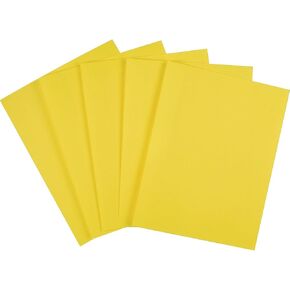 Staples 733072 Brights 24 Lb. Colored Paper Blue 500/Ream in Kuwait