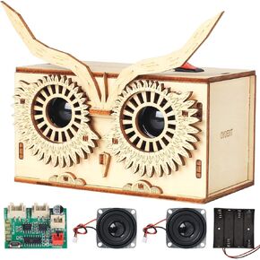 DIY Bluetooth Speaker Kit, Stem Projects for Kids Ages 8-12, Science Kits for Kids Age 12-14, STEM Learning Project, Science Gift for Boys Teens Age 10 11 12 13 14 15 16