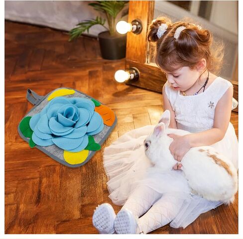 WishLotus Rabbit Snuffle Mat, Anti-Slip Rabbit Foraging Mat with Hanging Rope, Colorful Bunny Snuffle Pad for Chinchillas Puppy Guinea Pig Snuffle Training (Orange) in Kuwait