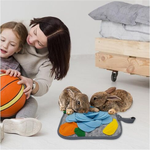WishLotus Rabbit Snuffle Mat, Anti-Slip Rabbit Foraging Mat with Hanging Rope, Colorful Bunny Snuffle Pad for Chinchillas Puppy Guinea Pig Snuffle Training (Orange) in Kuwait