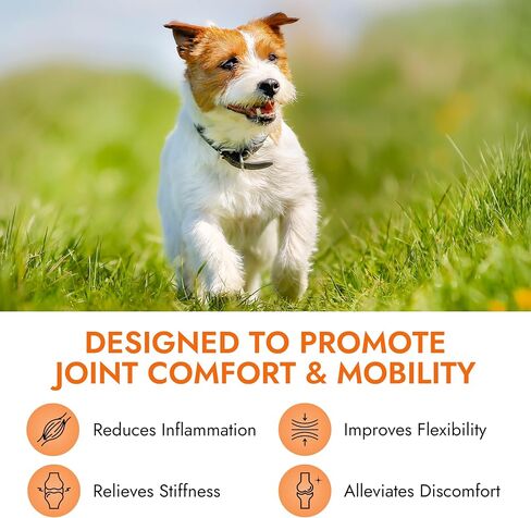 Pet Vet Calming Chews for Dogs – Dog Anxiety Relief (Beef Liver Flavor 60 Chews) – Stress Relief, Supplements for Hyperactive & Anxious Dogs – Dog Anxiety Bites for Relaxation, Pet Care Products in Saudi Arabia