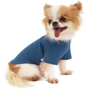 Lophipets كل يوم ناعم القطن الكلب تي شيرت القميص للكبار chihuahuas والكلاب الصغيرة سلالات | يناسب 4.5-6.5 رطل | الأزرق ، متوسط