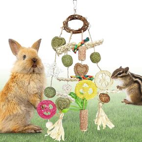 Rabbit Chew Toys,Tyotrbs Rabbit Treats Rabbits Cage Hanging Chew Toys and Treats Rattan Ring with Snacks Water Grass Wooden Block Carrot for Guinea Pigs Chinchillas Hamsters Rats and Other Small Pets