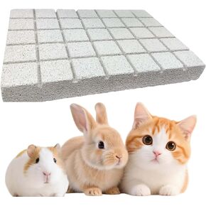 2-Pack Rabbit Scratching Pads with Lava Stone - Bunny Grinding Claw Pads for Rabbits, Guinea Pigs, Chinchillas, Hedgehogs | Cage-Friendly Chew Toys for Dental Health & Boredom Relief (Small 2 Pieces)