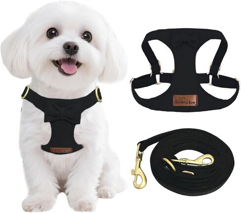 Guiding Star Puppy Harness and Leash Set, No Pull Lightweight Soft Adjustable Escape Proof Pet Harness Vest with Multifunction Dog Leash for Puppy Small Size Dog (Pink-XXS) in Kuwait