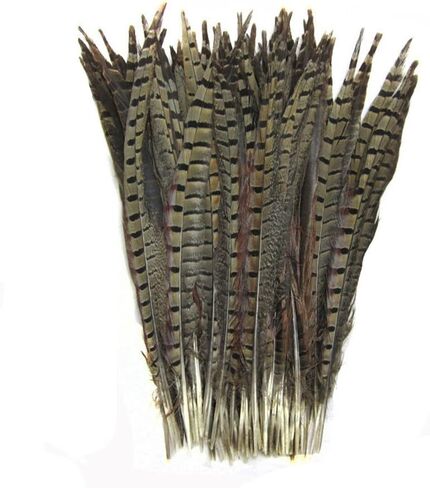 CENFRY Nature Pheasant Tails Feathers Costume Craft Decoration 12-14inch Pack of 10 (Natural) in Kuwait