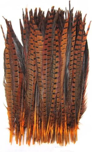 CENFRY Nature Pheasant Tails Feathers Costume Craft Decoration 12-14inch Pack of 10 (Natural) in Kuwait