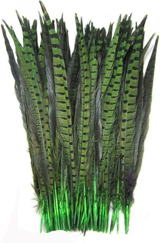 CENFRY Nature Pheasant Tails Feathers Costume Craft Decoration 12-14inch Pack of 10 (Natural) in Kuwait
