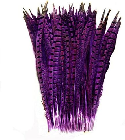 CENFRY Nature Pheasant Tails Feathers Costume Craft Decoration 12-14inch Pack of 10 (Natural) in Kuwait