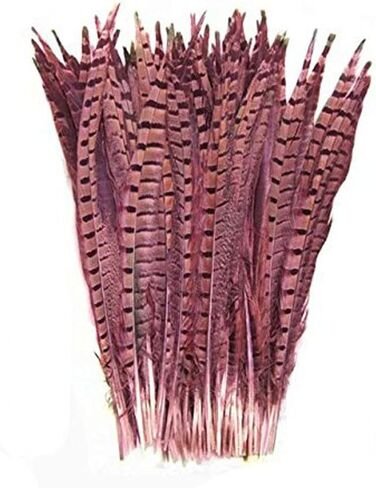 CENFRY Nature Pheasant Tails Feathers Costume Craft Decoration 12-14inch Pack of 10 (Natural) in Kuwait
