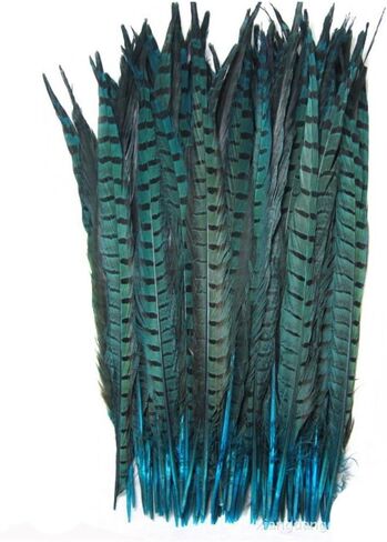 CENFRY Nature Pheasant Tails Feathers Costume Craft Decoration 12-14inch Pack of 10 (Natural) in Kuwait