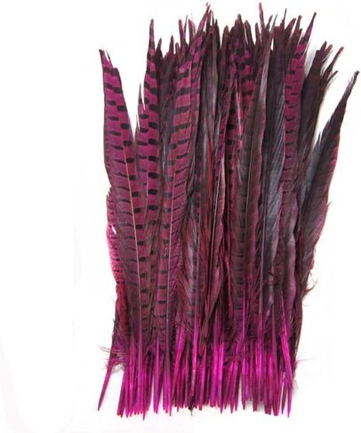 CENFRY Nature Pheasant Tails Feathers Costume Craft Decoration 12-14inch Pack of 10 (Natural) in Kuwait