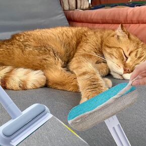 Pet Hair Removal Tool, Dog and Cat Hair Remover for Couch Carpet Furniture, 4 in 1 Multifunctional Pet Hair Removal Broom, Cleaning Brush for Window Tile, Reusable Washable (2 Pack) (2)