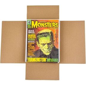 مجلة Gemini و Comic Book Cailers للشحن (8.5x11x2 ' - 100 pack) | كرتون مموج من الصنع الولايات المتحدة بقاء مسطحات مسطحة مع سعة قابلة للتوسيع | رائع للوثائق الشحن والصور والمزيد.