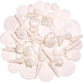 Silver White Sea Shell Mixed Ocean Shells Set, 1.2"-2.6" Various Sizes Natural Seashell & Starfish for Beach Themed Decor, DIY Crafts, Vase Fillers, Fish Tank, Home, Wedding & Party Decoration