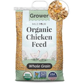 Organic Chicken Feed – Grower Whole Grain, Non-GMO, USA Grown, 18% Protein, Corn-Free, Soy-Free, Non-Medicated Feed for Chickens, 2 lb Sample