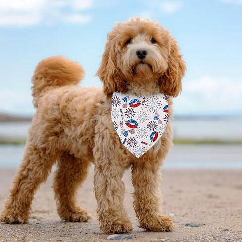 Dad Asked Mom Said Yes Dog Bandana 2 Pack, Dog Wedding Bandanas Engagement Gift Bandana for Dogs, Wedding Gifts Pet Scarf for Small Medium Cats Dogs in Saudi Arabia