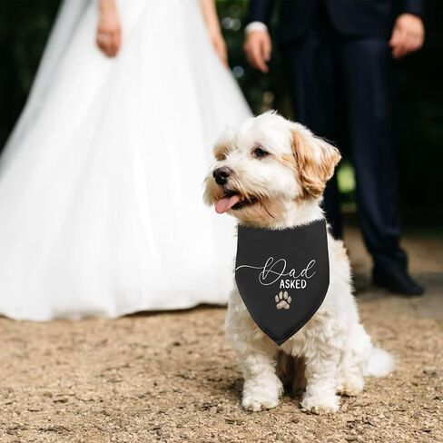 Dad Asked Mom Said Yes Dog Bandana 2 Pack, Dog Wedding Bandanas Engagement Gift Bandana for Dogs, Wedding Gifts Pet Scarf for Small Medium Cats Dogs in Saudi Arabia