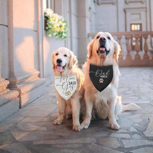 Dad Asked Mom Said Yes Dog Bandana 2 Pack, Dog Wedding Bandanas Engagement Gift Bandana for Dogs, Wedding Gifts Pet Scarf for Small Medium Cats Dogs in Saudi Arabia