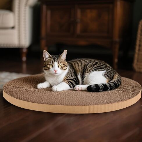 Round Cat Scratcher refill 10 بوصة قطر 3/5 بوصة دائرة خدش استبدال منصات خدش للقطط الداخلية الخدش (1 جهاز كمبيوتر) in Kuwait