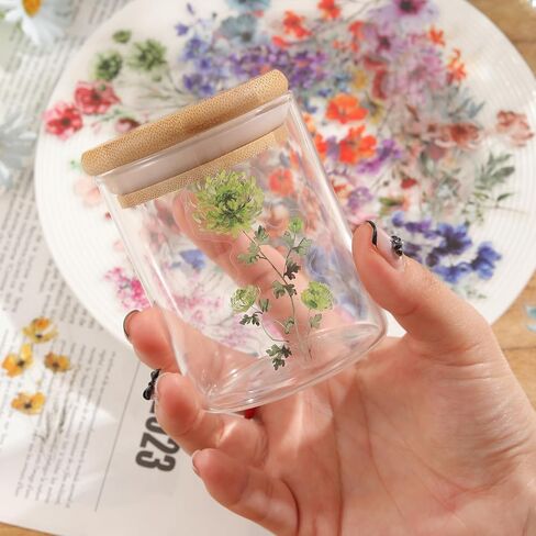50Pcs Transparent Flower Stickers for Scrapbooking PET Nature Plant Sticker Floral Stickers Colorful Vintage Craft Sticker for Journaling Scrapbooking Clear Flowers Decals (Flower) in Kuwait