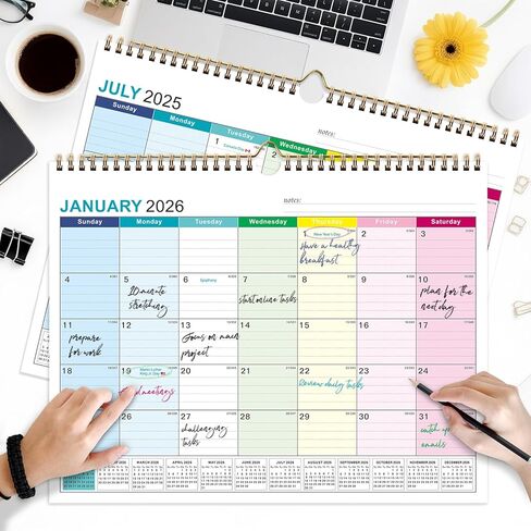 Wall Calendar 2024-2025, January 2024-June 2025, 15" x 12", Highlight Holidays, Planning Calendar, Thick Paper in Kuwait