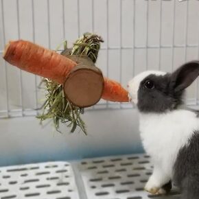 Natural Apple Wood Rabbit Guinea Pig Hay Feeder, Bunny Carrot Holder, Cages Accessories for Chinchilla