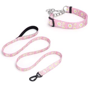 Martingale Dog Collar, 5FT Dog Leash Padded, Slip Dog Collar and Leash Set with Daisy Floral Design Stainless Steel Chain Modified Cinch Collar (Green, Large)
