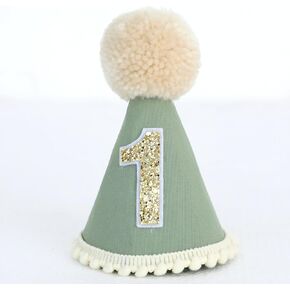 Sage Green First Birthday Hat Boy 1st Wild One Green Baby 1 Birthday Hat One Year Old Baby Party Hat Photoshoot Props Photo Props Felt