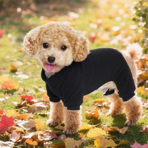 Choyaxo Velvet Dog Pajamas مسدود للملابس جرو بذلة صلبة ألوان CAT CAT لكلب صغير للحيوانات الأليفة والقط (أسود ، صغير) in Kuwait