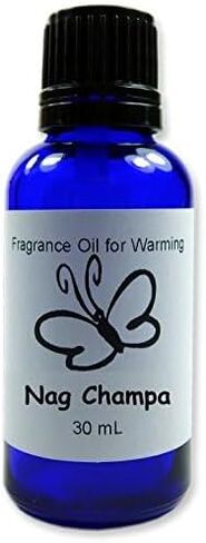 Driftwood Concentrated Premium Fragrance Oil, Cobalt Blue Glass Bottle, Euro Style Dropper Cap in Saudi Arabia