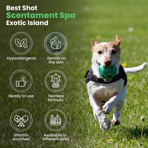 Best Shot Scentament Spa Seasonal Body and Facial Wash, Tearless Shampoo, Hypoallergenic Body Wash, Removes Tear Stains, Exotic Island, 1 Gallon in Kuwait