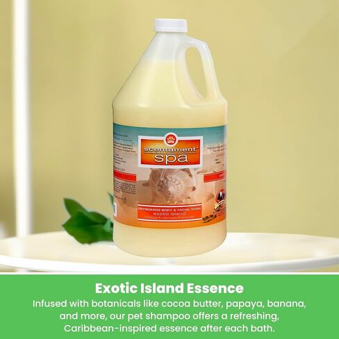 Best Shot Scentament Spa Seasonal Body and Facial Wash, Tearless Shampoo, Hypoallergenic Body Wash, Removes Tear Stains, Exotic Island, 1 Gallon in Kuwait