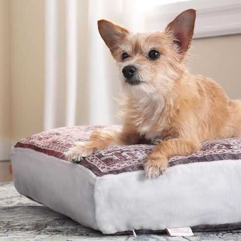 TOWN & COUNTRY EVERYDAY CuddleTown Medallion Everwash® Pillow Pet Bed, Water Repellent Floor Pillow, Machine Washable Cover, Soft & Calming, Blue/Greige, Medium 36"x28"x4" in Saudi Arabia