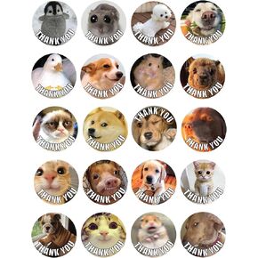Funny Animal Meme Thank You Stickers for Small Business - 300 Pieces 1.5" Round Envelope Seals with Adorable Cute Dog & Cat Pet Photos - Unique Adhesive Labels for Office, Kids Birthday Party Favor